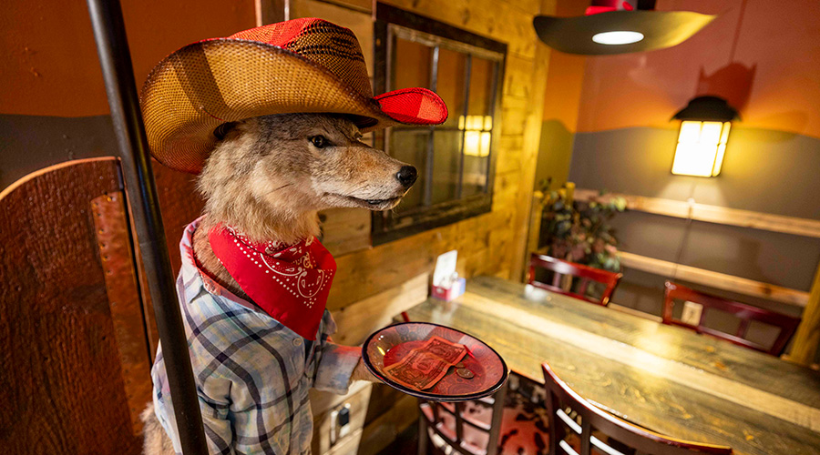 The Rib Room, Bristol, NH