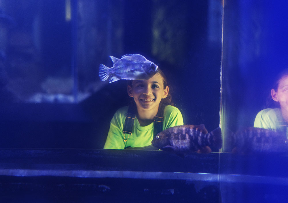 a little girl looking at a fish in an aquarium
