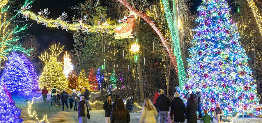 a pathway lined with holiday lights and people walking