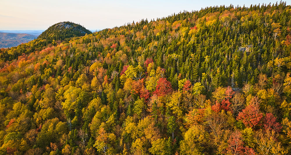 aerial view of a mountain in fall
