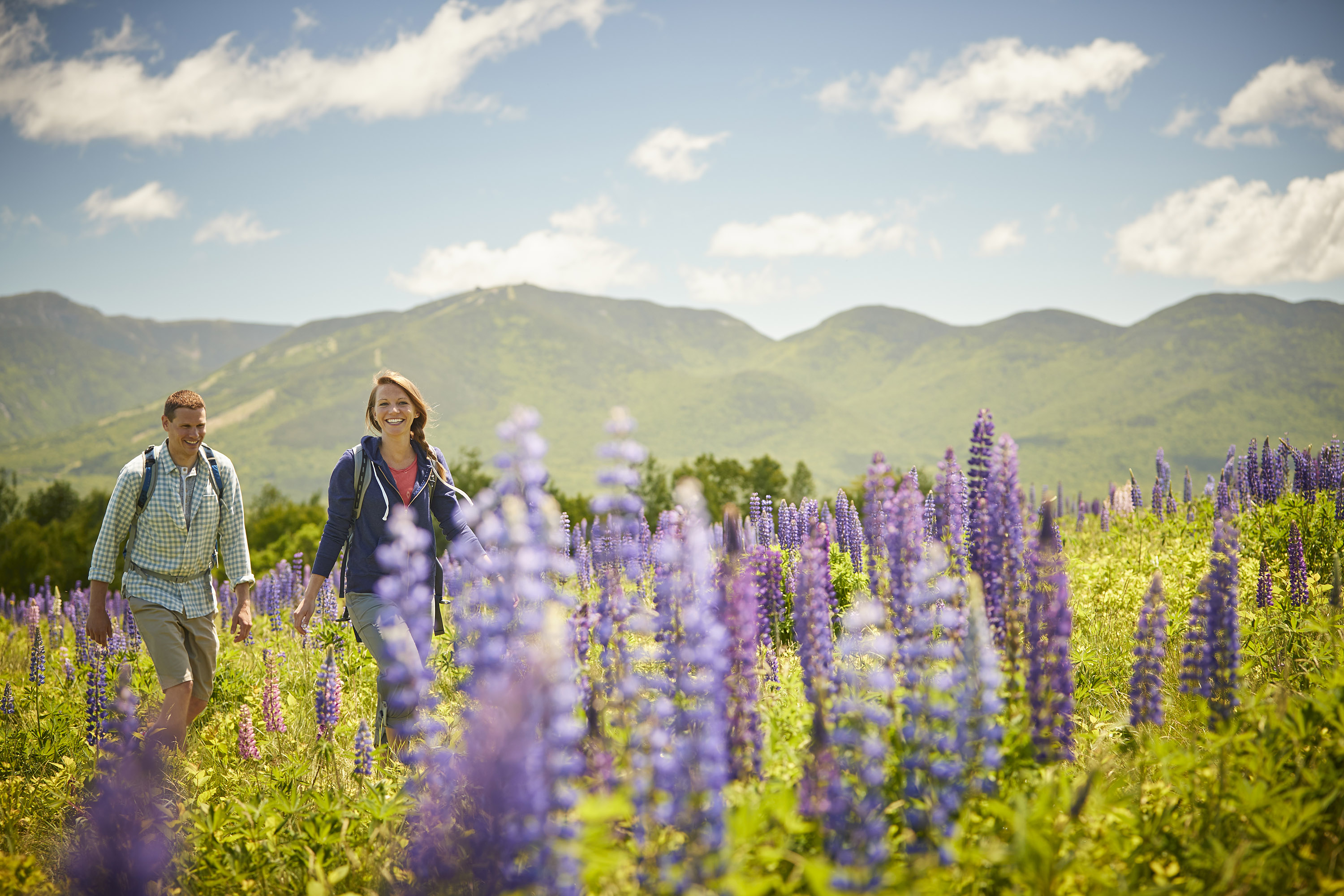 a man and woman walking in a field with purple flowers with mountains behind them.