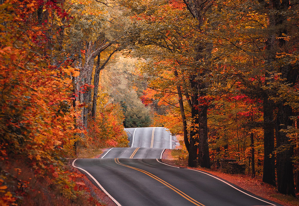 a road cutting through fall foliage