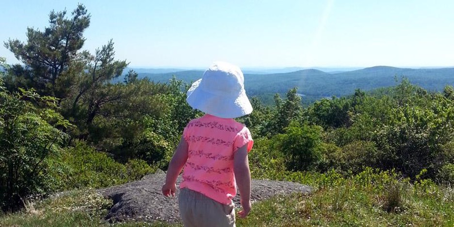 Pitcher Mountain