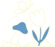 Flowers & Butterfly