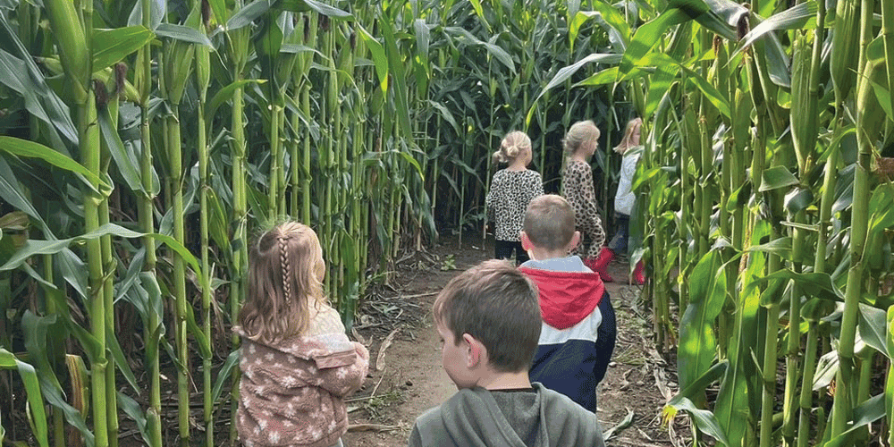 WashburnsWindyHill-resized.gif WashburnsWindyHill-resized.gif