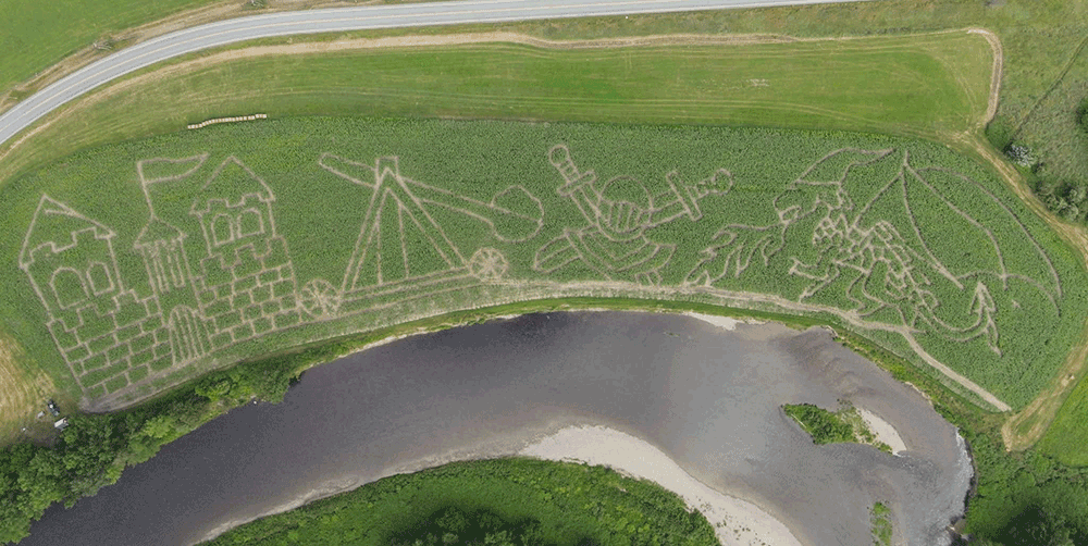 CollinsFarmCornMaze.gif CollinsFarmCornMaze.gif