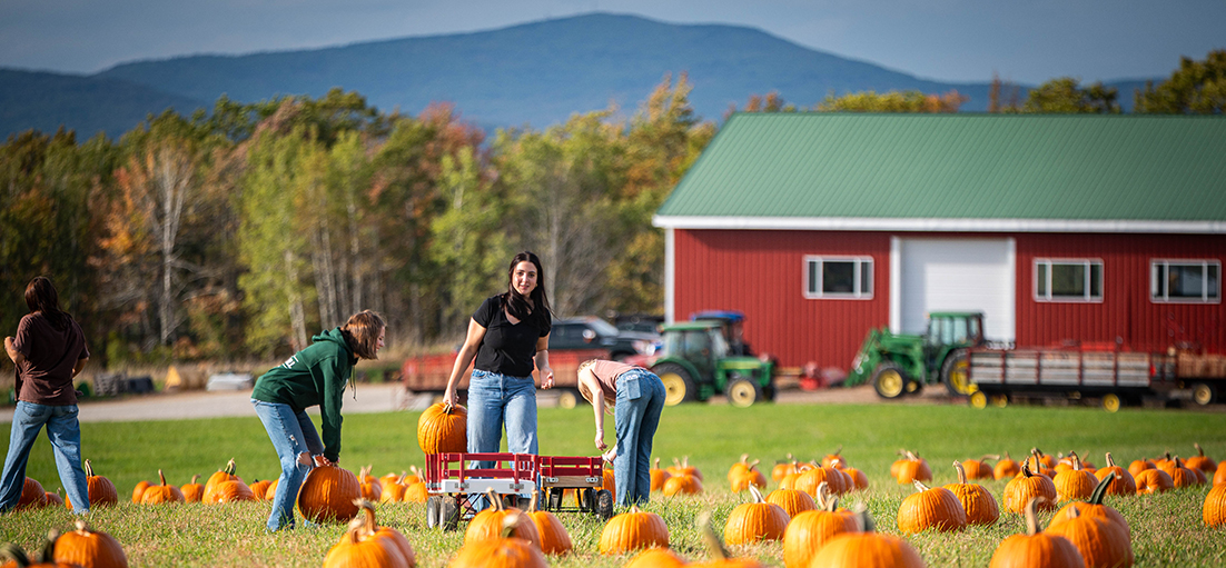 Visit-Farm.jpg Visit-Farm.jpg
