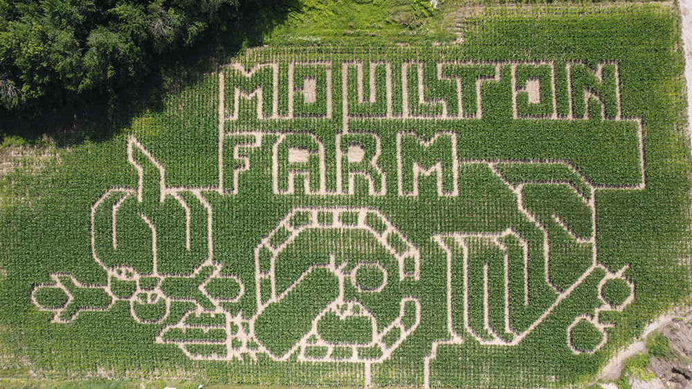 Moulton-Farm-2025-corn-maze.gif Moulton-Farm-2025-corn-maze.gif
