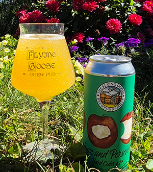 flyinggoose.jpg flyinggoose.jpg