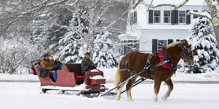 sleigh-cozy.jpg sleigh-cozy.jpg