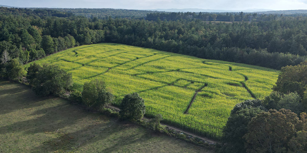 BeechHillFarm2_2.jpg BeechHillFarm2_2.jpg